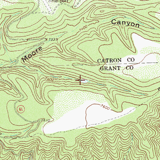 Topographic Map of Horse Pasture Tank, NM