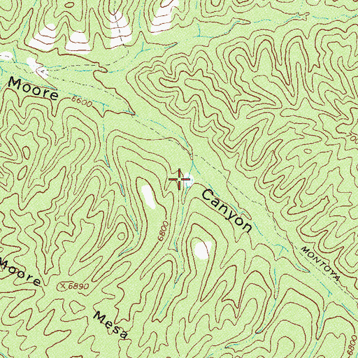 Topographic Map of Tom Moore Tank, NM
