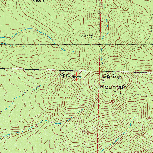 Topographic Map of Spring Mountain Spring, NM
