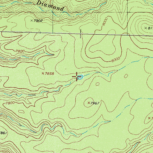 Topographic Map of Upper East Diamond Tank, NM