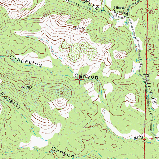 Topographic Map of Grapevine Spring, NM