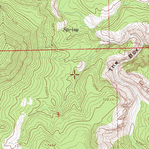 Topographic Map of Lion Spring, NM