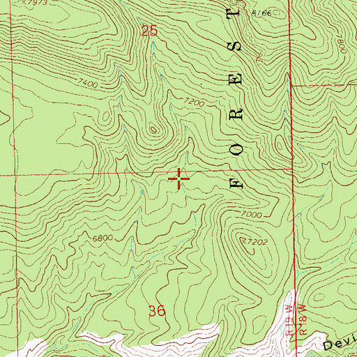 Topographic Map of Skunk Spring, NM