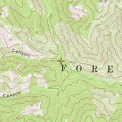 Topographic Map of Rattlesnake Corral, NM