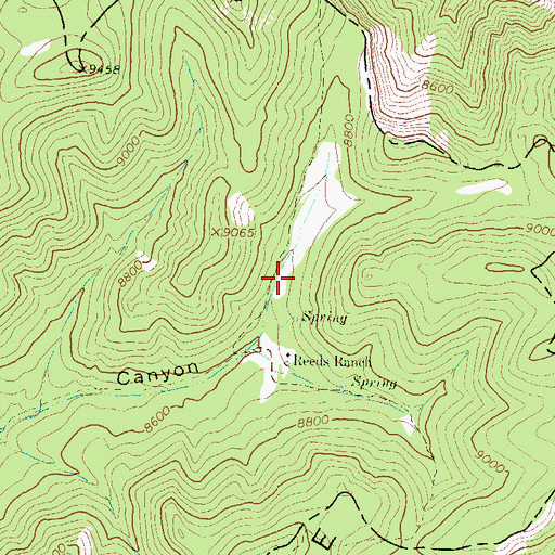 Topographic Map of Reeds Meadow, NM