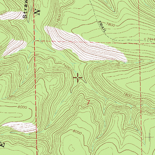 Topographic Map of Strawberry Tank, NM