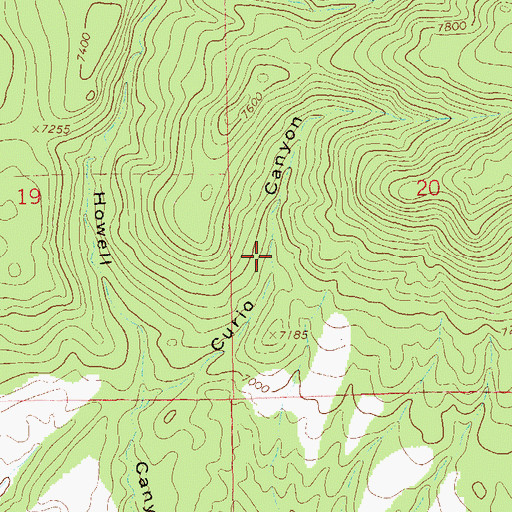 Topographic Map of Curio Tank, NM