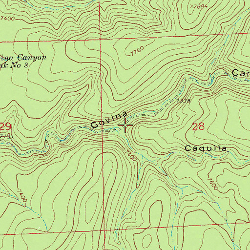 Topographic Map of Caquila Corral, NM