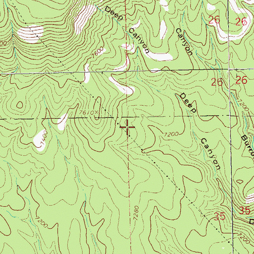 Topographic Map of Tuff Spring, NM
