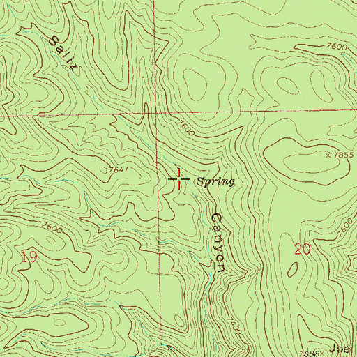 Topographic Map of Joe Green Spring, NM