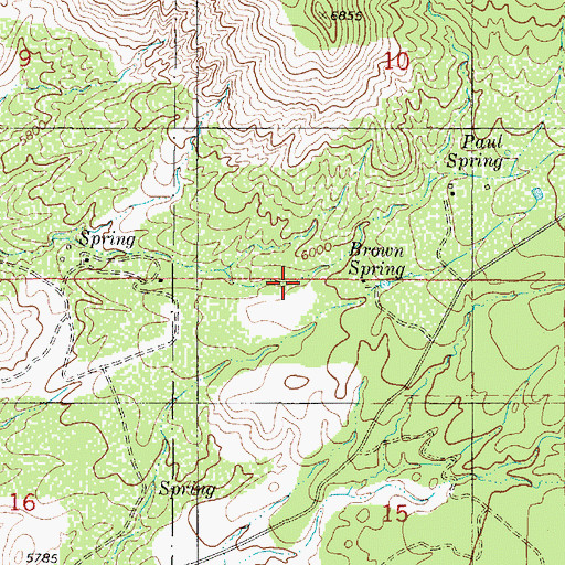Topographic Map of Brown Spring, NM