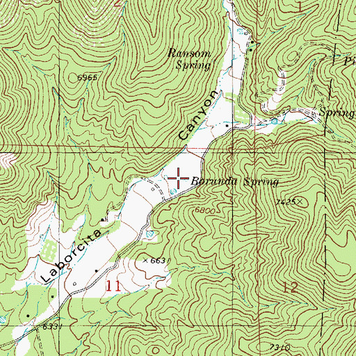 Topographic Map of Borunda Spring, NM