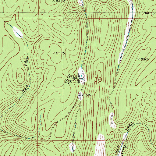 Topographic Map of Seven Spring, NM
