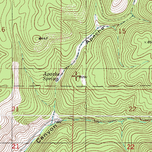 Topographic Map of Apache Spring, NM