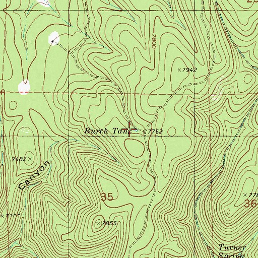Topographic Map of Burch Tank, NM