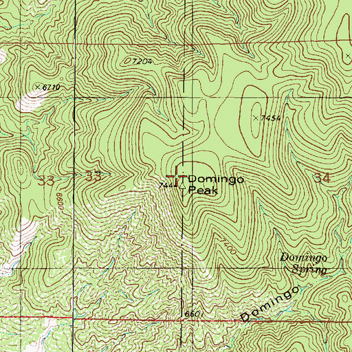 Topographic Map of Domingo Peak, NM