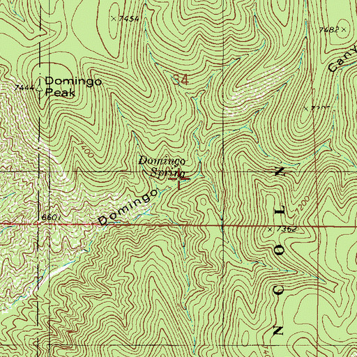 Topographic Map of Domingo Spring, NM