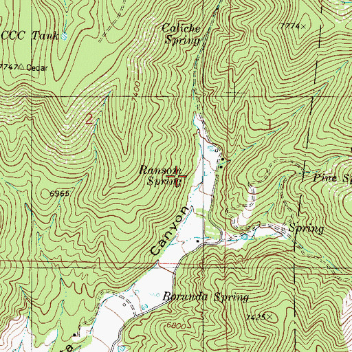 Topographic Map of Ransom Spring, NM