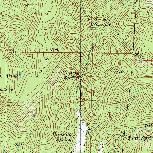 Topographic Map of Caliche Spring, NM