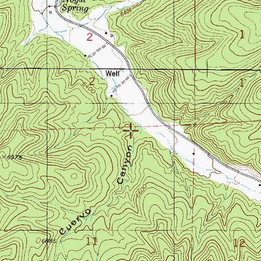 Topographic Map of Cuervo Canyon, NM