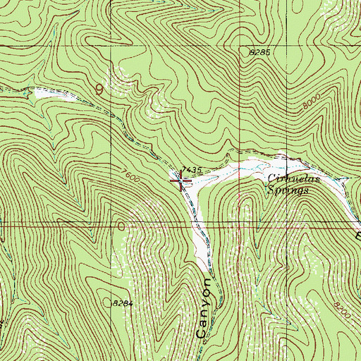 Topographic Map of East Cirhuelas Canyon, NM