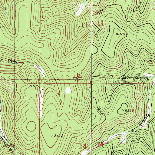 Topographic Map of Dripping Spring, NM