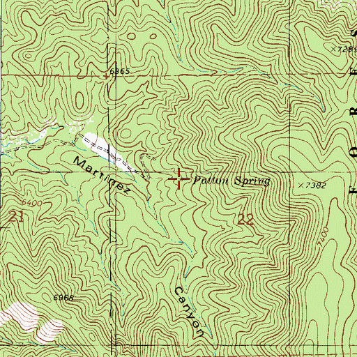 Topographic Map of Patton Spring, NM