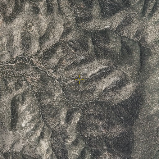 Aerial/Satellite Image of Patton Spring, NM