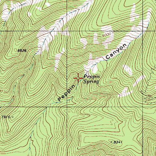 Topographic Map of Peppin Spring, NM