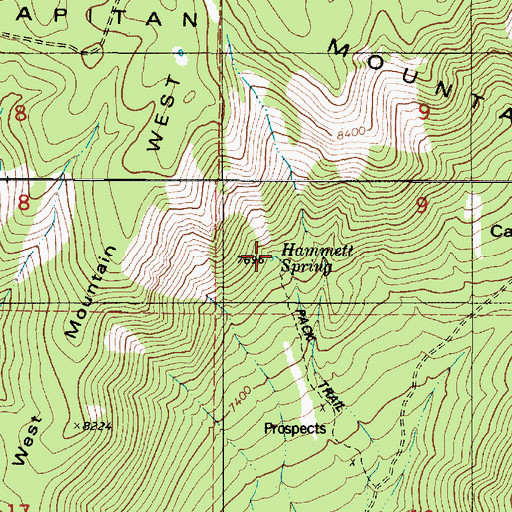 Topographic Map of Hammett Spring, NM