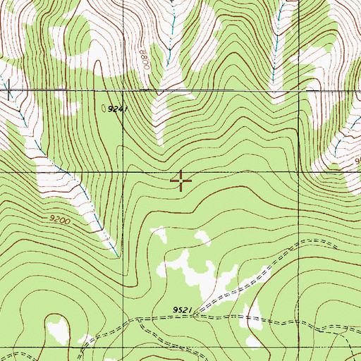 Topographic Map of Bear Trick Tank, NM