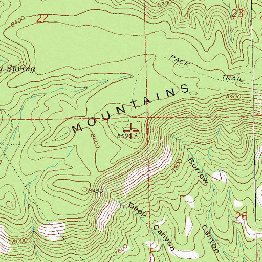 Topographic Map of San Francisco Electronic Site, NM