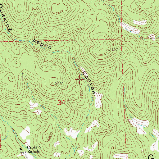 Topographic Map of Outlaw Spring, NM
