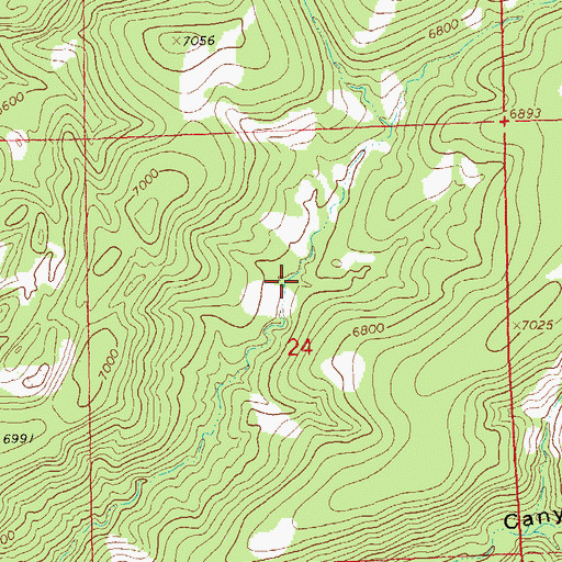 Topographic Map of Big Canyon Tank, NM