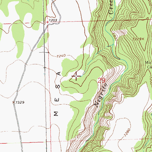 Topographic Map of Rainy Mesa Tank, NM