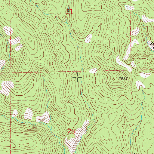 Topographic Map of Needlepark Tank, NM