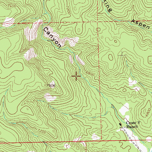Topographic Map of Cross Spring, NM