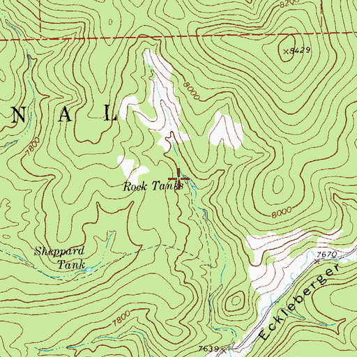 Topographic Map of Rock Tank Number Two, NM