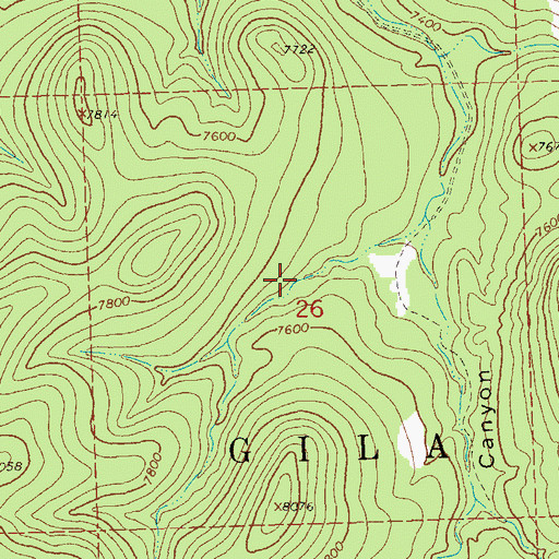 Topographic Map of Ridge Tank, NM