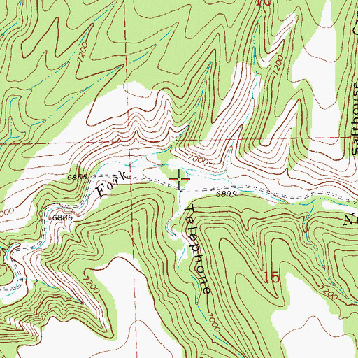 Topographic Map of Telephone Canyon, NM