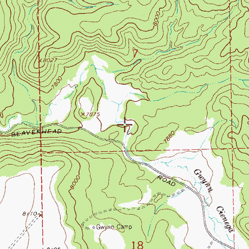 Topographic Map of Gwynn Tank, NM