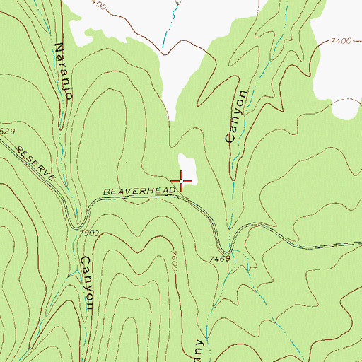 Topographic Map of Cicnega Spring, NM