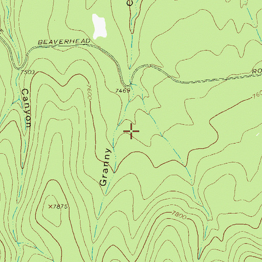Topographic Map of Old Cabin Spring, NM