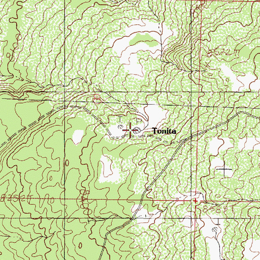 Topographic Map of Tonita Lake, NM