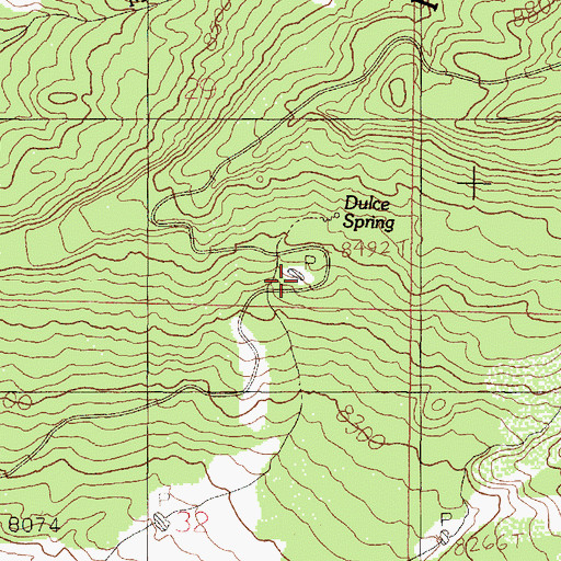 Topographic Map of Duke Pit, NM