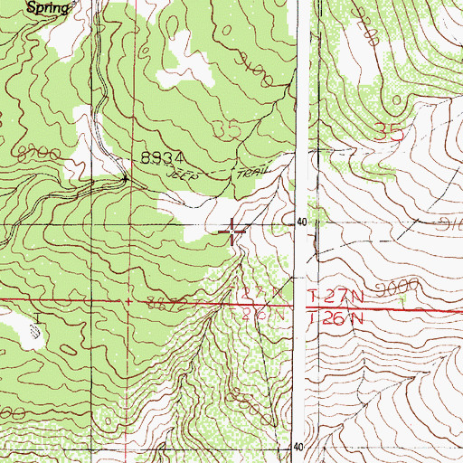 Topographic Map of Fuertes Tank, NM