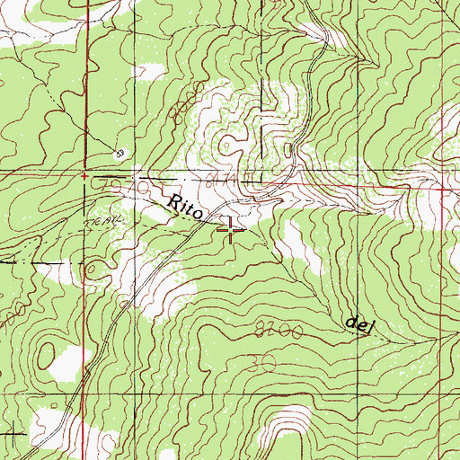 Topographic Map of Bronco Tank, NM