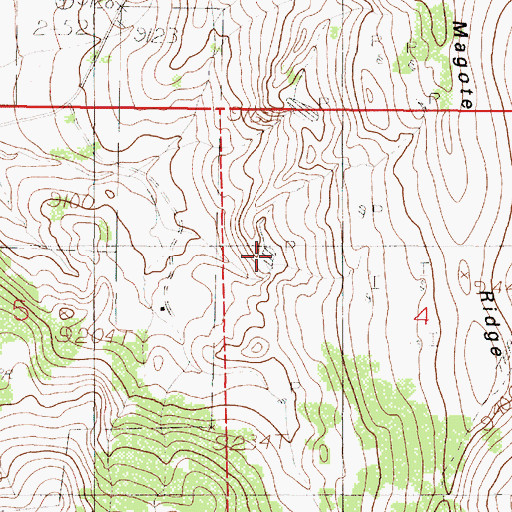 Topographic Map of Patito Tank, NM