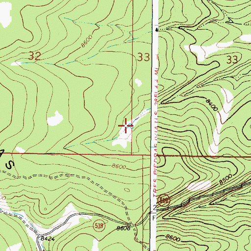 Topographic Map of South Malpais Tank, NM