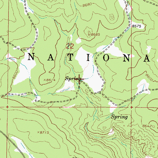 Topographic Map of Alire Spring, NM